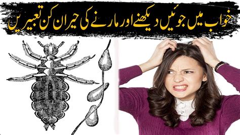 Killing Head Lice These dreams are quite common that are actually positive. . Head lice in dream meaning islam